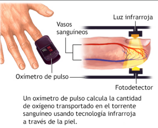 Oximetro Saturometro Pulsometro
