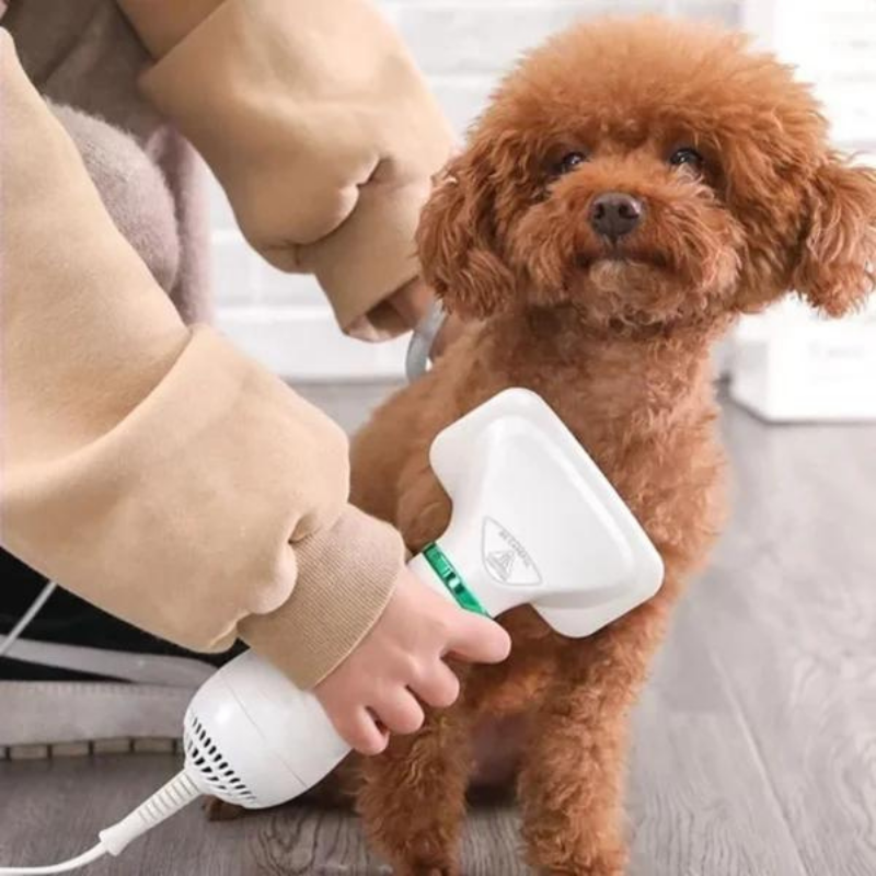 Secador de pelo para mascotas